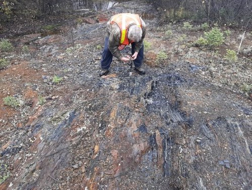 Quartz Lake Angel Wing Metals Inc.